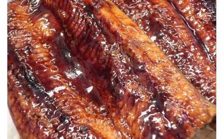 海鮮セット 国産 カツオの藁焼きたたき うなぎ蒲焼き 6回定期便 海鮮 | 高知県安田町 KT-01