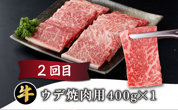 【定期便・全3回】宮崎牛 焼肉用 3ヶ月定期便 肩ロース焼肉用 ウデ焼肉用 モモ焼肉用 合計1.2kg 焼肉用 スライス お肉 牛肉 すき焼き BBQ 宮崎県 送料無料 【MCT3UY-12】