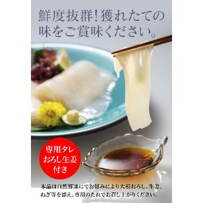 ふるさと納税 北斗市 【道水 DOHSUI】いかそうめん 3人前(刺身用 イカソーメン) 北海道 産地直送 |  | 02