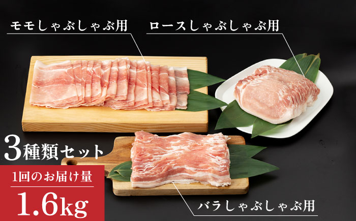 【12回定期便】SPF豚 極上 拘りの芳寿豚堪能しゃぶしゃぶセット 計1600g / 豚肉 定期便 ほうじゅとん SPF豚 spfポーク 小分け バラ しゃぶしゃぶ / 南島原市 / 芳寿牧場 [SE
