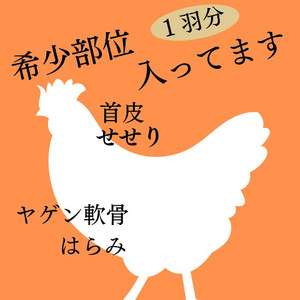 【訳あり 緊急支援】手捌き熟成 丹波赤どり1羽まるごとセット＜京都亀岡丹波山本＞≪特別返礼品 鶏肉 丸１羽 とり肉 国産鶏 国産鶏肉 京都府産鶏肉 京都産鶏肉 地鶏鶏肉 鶏肉地鶏 鶏肉大容量 大容量鶏