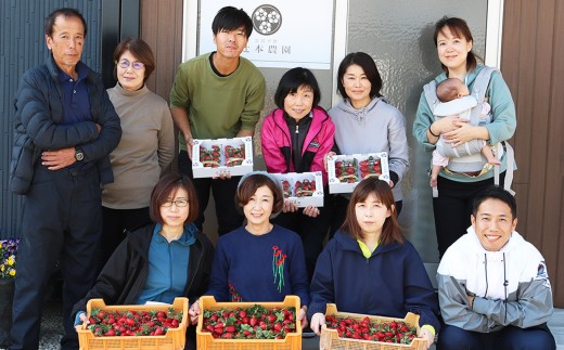 平群 の 古都華  4L ～ 5L サイズ  （2パック 2ケース） 計4パック 辻本農園  |  先行予約 フルーツ 果物 くだもの ブランド いちご 苺 古都華 ことか 甘い 大人気 満足 希少 希少品種 ストロベリー 美味しい 品種 特徴 糖度 ルビー色  1月 2月 3月 発送 旬 送料無料 濃厚 香り 果汁 味わい深い お取り寄せ 産地直送 辻本農園 名産地 奈良県 平群 町