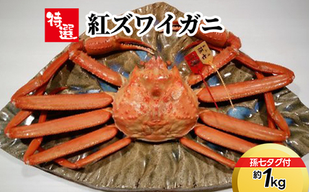 【特選】紅ズワイガニ約1kg（孫七タグ付）※2026年9月～発送