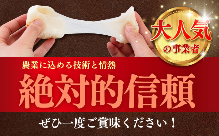 【3回定期便】令和7年度産 精米 夢つくし 5kg /築上町【アルク農業サービス合同会社】 米 こめ 白米 [ABAB008]