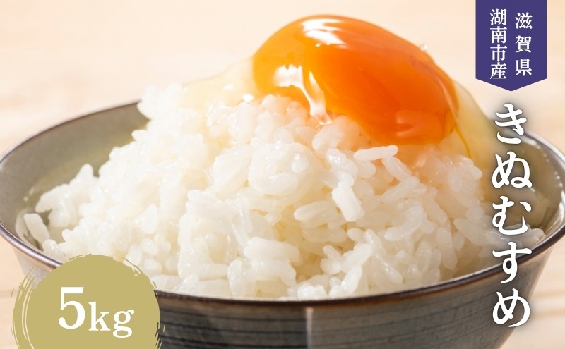 
            【先行予約受付中】令和7年産 滋賀県産 米 きぬむすめ 5kg [№5748-0541]
          