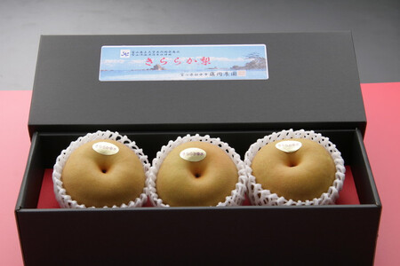 [訳ありセット]冬に味わう！藤岡さんが作った氷温保存きららか梨 3玉入り ※2025年12月中旬頃～2026年4月上旬頃に順次発送予定 ※離島への配送不可