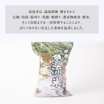 ふるさと納税 八代市 《令和7年産》熊本県八代市産 球磨川急流米 ヒノヒカリ 5kg_131-4799-D |  | 03
