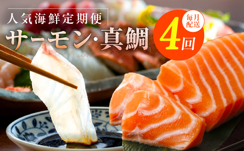 人気海鮮定期便 サーモン／真鯛 食べ比べ 全4回【毎月配送コース 小分け 訳あり サイズ不揃い 刺身 海鮮丼 人気 オススメ 冷凍】】