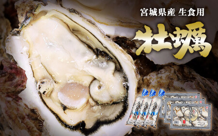 牡蠣 宮城県産 生食用 牡蠣(もちかき)セット(210g+24粒)