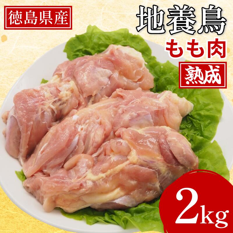 【ふるさと納税】 熟成地養鳥 もも 肉 2kg 冷蔵 地鶏 鶏もも肉 国産 鶏肉 モモ肉 徳島県産 ブランド ジューシー 旨味 肉厚 歯ごたえ 美味しい 人気 BBQ チキン ステーキ 唐揚げ 蒸し チキン南蛮 ビール おつまみ 徳島県 三好市 みよし 阿波市 【三好市共通返礼品】