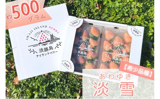 
                  希少品種 白いちご淡雪 500g 完熟いちご 淡路島産 採れたて 旬のフルーツ 旬の果物 いちご 白いちご 苺 イチゴ 淡雪 季節のフルーツ 季節の果物 洲本市 [№5395-0169]
                