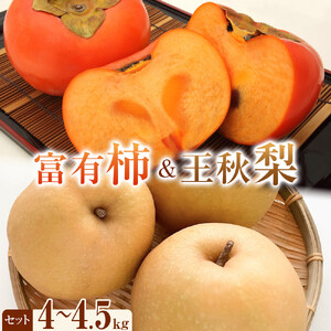 【先行予約】富有柿と王秋 梨 のセット 秀 4kg以上～4.5kg未満　※2026年11月上旬～12月上旬頃に順次発送予定 | 梨