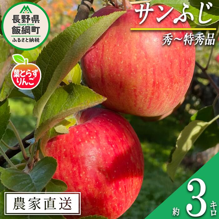 【ふるさと納税】 りんご 葉とらず サンふじ 秀 〜 特秀 3kg フレッシュフルーツミカズキ 沖縄県への配送不可 令和7年度収穫分 長野県 飯綱町 〔 信州 果物 フルーツ リンゴ 林檎 長野 19000円 予約 農家直送 〕発送時期：2025年11月下旬頃〜2026年1月下旬頃 {***}