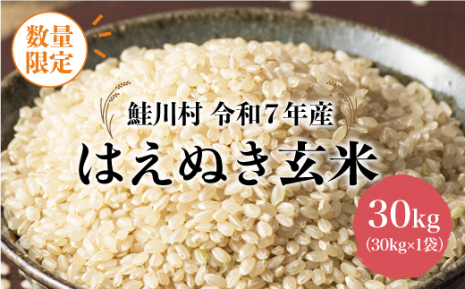 ◇数量限定◇ 令和8年4月上旬発送 ＜令和7年産＞ はえぬき 【玄米】 30kg （30kg×1袋） 沖縄県・離島配送不可　鮭川村