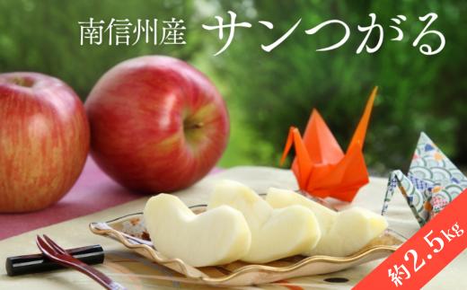 JA46 りんご サンつがる 約2.5kg / 2026年9月上旬～9月中旬ごろ配送予定 // 長野県 南信州 贈答 ギフト 新鮮 林檎 リンゴ サンツガル