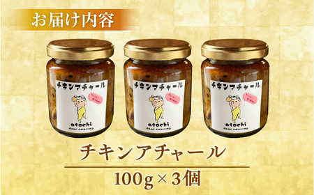 チキンアチャール 3個 BKBS005 スパイス