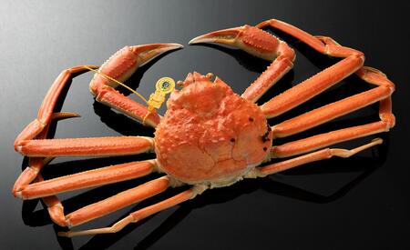 越前ガニ ボイル 約1kg 高島屋 選定品 ズワイガニ かに 海鮮 海産物 海の幸 魚介 魚介類 越前かに 越前カニ 越前がに ずわいがに ずわい蟹 カニ 蟹 ボイルガニ 冷蔵 冷蔵配送 福井県 福井