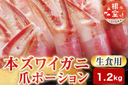 [12月10日決済分まで年内配送]生食用本ズワイガニ爪ポーション1.2kg B-14088