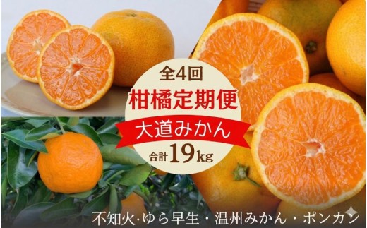 【2026年分先行予約・数量限定】和歌山の柑橘3回定期便（王道みかん）合計19kg【期間限定・9/30まで受付】 / みかん ゆら早生 温州みかん ポンカン ぽんかん 不知火 デコポン 柑橘 くだもの 果物 期間限定 和歌山県 田辺市【mrn022-tk】
