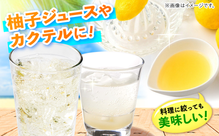 【訳あり】【先行予約】【11月中旬から12月中旬に順次発送】 種なし柚子 約3kg（約45個から65個）ゆず 種無し ユズ 訳あり 家庭用 柚子 種なし 三次市/小さなくだもの畑[APAQ004]