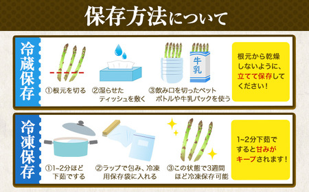 朝採りアスパラガス Mサイズ(1.2kg) 《2025年5月中旬-6月下旬頃出荷予定》北海道 名寄市 送料無料 朝採り 新鮮 アスパラ