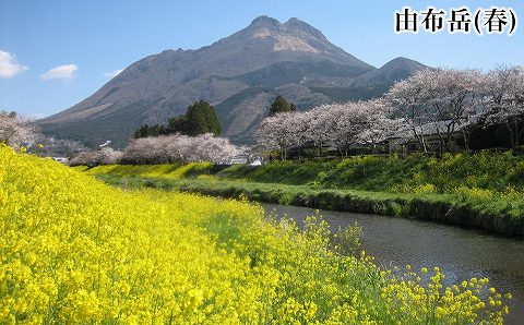 大分県由布市ANAトラベラーズダイナミックパッケージ割引クーポン22,500点分