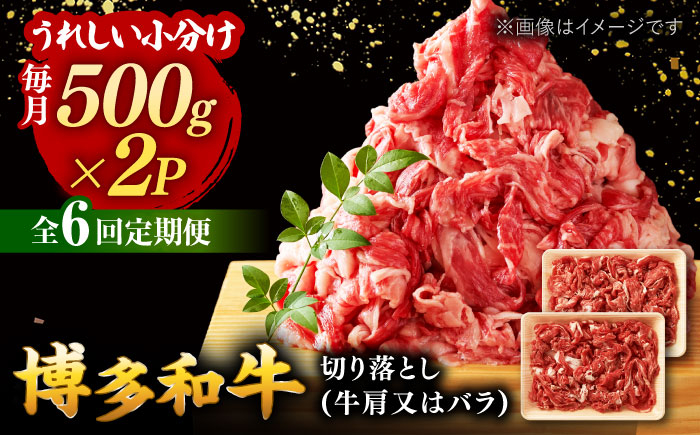 
【全6回定期便】【たっぷり大容量！】博多和牛 切り落とし 1000g(500ｇ×2Ｐ） ▼ 牛肉 肉 にく 返礼品 美味しい お肉 家族 口コミ 食材 博多 本場 福岡 国産牛 特産品 大好評 冷凍 定期便 桂川町/株式会社 MEAT PLUS [ADAQ015]
