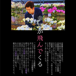 【ふるさと納税】胡蝶蘭 大輪タイプ 白3本立 7号鉢 | 胡蝶蘭 開店祝い ピンク 白い 開業 お祝い インテリア 栃木県 下野市 送料無料