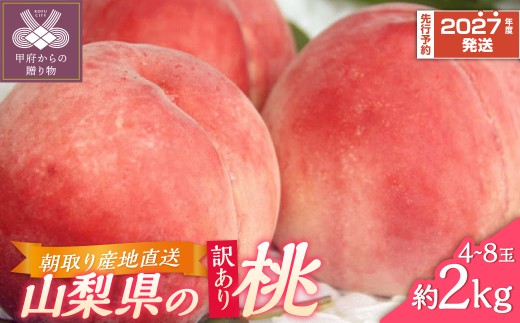 桃 訳あり〈先行予約 / 2027年度配送分〉甲府市産 訳あり桃 約2kg（4～8玉） もも モモ ピーチ もぎたて 朝取り 産地直送 冷蔵配送 クール便 2027年6月下旬～8月下旬頃 期間限定 数量限定