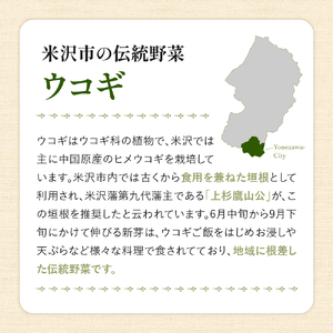 Ukogi Herb Tea 3種 ミックスパック 計 6個 ( 各 2個 ) 〔 ノンカフェイン 〕 ティーバッグ ブレンド 有機栽培 うこぎ ハーブティー ハーブ