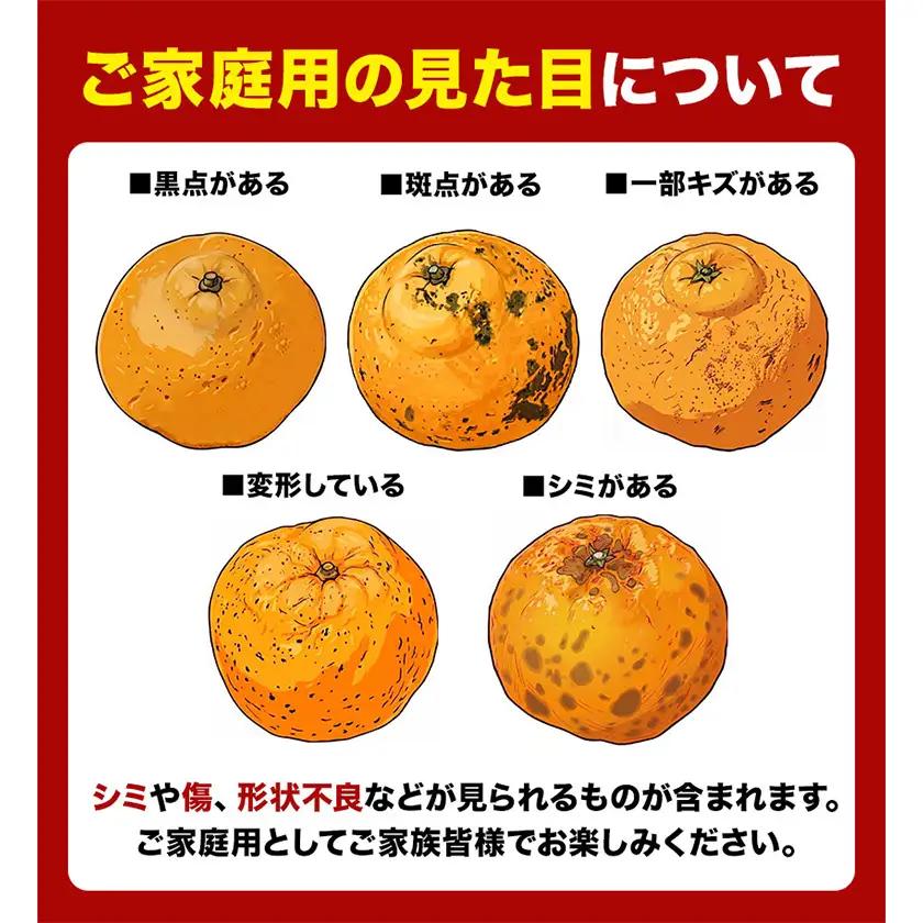 ご家庭用 不知火 約4.5kg 