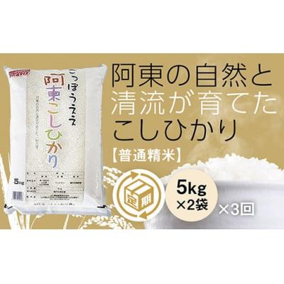 ふるさと納税 山口市 阿東こしひかり(普通精米5キログラム×2)3か月定期便 A114