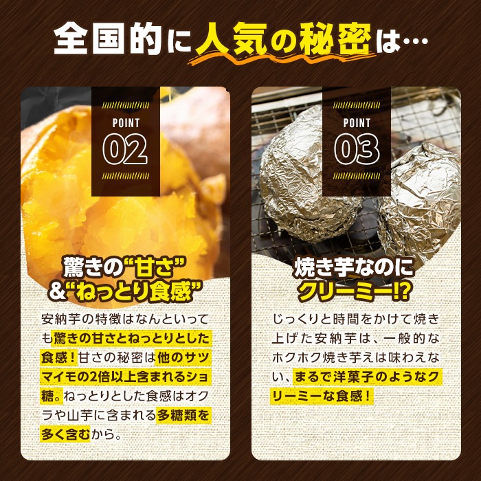 n331 ＜先行予約受付中！2025年10月下旬頃より順次発送予定＞種子島産 安納こがね(5kgセット) 国産 安納芋 黄金本場 種子島 芋 イモ いも さつまいも さつま芋 安納いも 野菜 【なかた