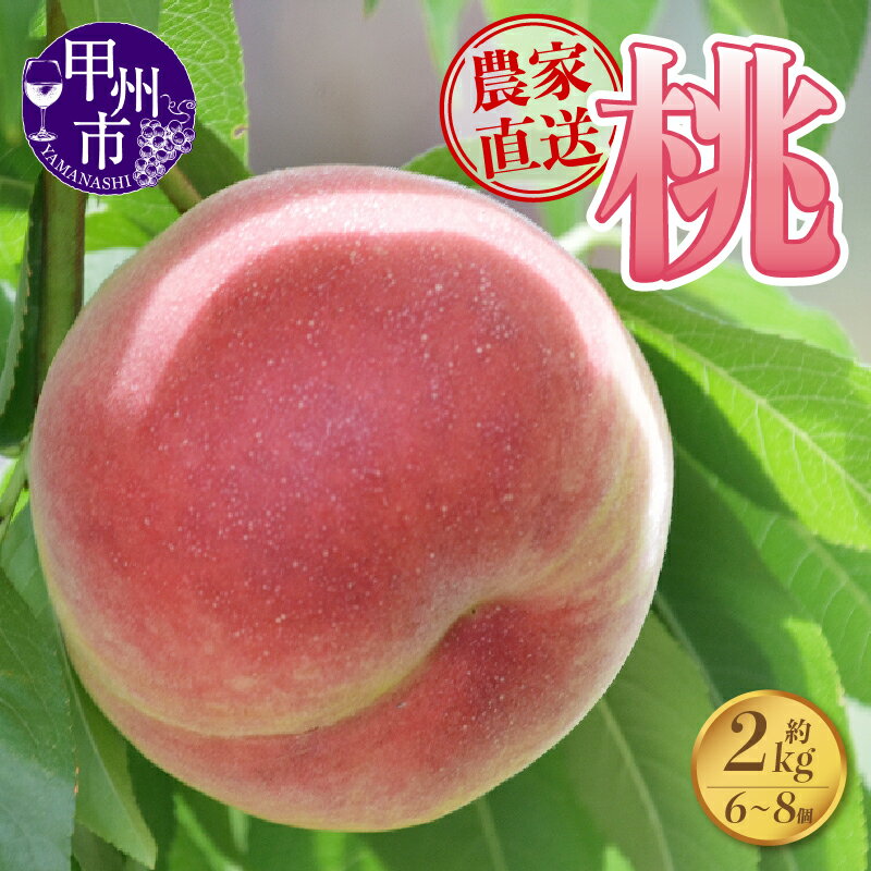 【ふるさと納税】 桃 約2kg 山梨県 甲州市 白鳳系 白桃系 【 2025年発送 】 6～8玉 果物 もも ピーチ フルーツ 新鮮 農家直送 クール便配送 さんちゃんファーム もぎたて 美味しい 冷蔵 期間限定 数量限定 盛り合わせ 7月 8月 発送 【B-151】