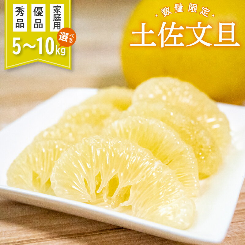 【ふるさと納税】 【レビュー評価4.88】 土佐文旦 秀品 優品 家庭用 10kg 5kg 高知県産 柑橘 旬 【2026年2月より順次発送】 フルーツふるさと納税 文旦 ぶんたん 果物 くだもの ふるさと納税柑橘 ふるさと納税文旦 先行予約 期間限定 数量限定 訳あり 分担 再販 高知 須崎