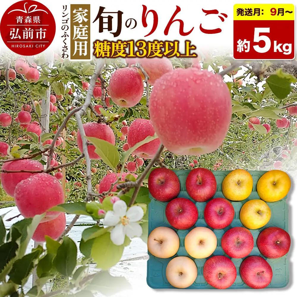 りんご 家庭用 旬のリンゴ詰め合わせ 約5kg【9月～発送】りんご