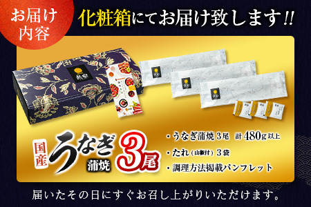 ＜父の日＞国産うなぎ蒲焼 3尾 計480g以上【C444-FD】