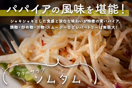 青パパイヤ 堪能 3kgセット 酵素の王様・健康万能野菜 パパイア王子厳選 宮崎県産【A335】