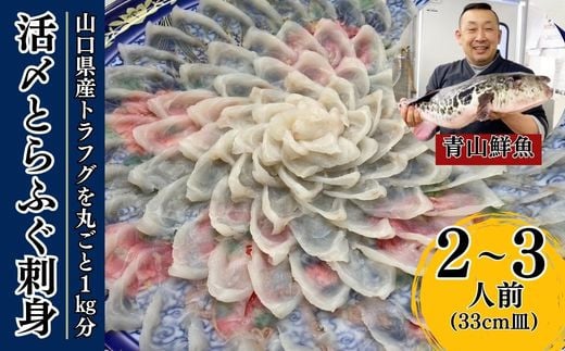 【北海道・東北・沖縄・離島配送不可／着日指定必須】2025年11月以降発送  活とらふぐ刺身  2～3人前 ふぐ 刺身 ふぐ刺し フグ トラフグ