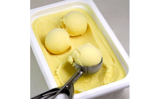 ［無添加、卵・乳不使用］マンゴーココナッツジェラート1L