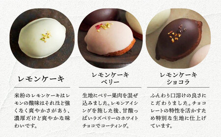 【3回定期便】レモンケーキ 3種（6個） 長与町/Lilla Lotta [EBR030] 米粉 洋菓子 お菓子 菓子 レモン ケーキ レモンケーキ スイーツ ギフト 贈答  リラロッタ / レモンケ