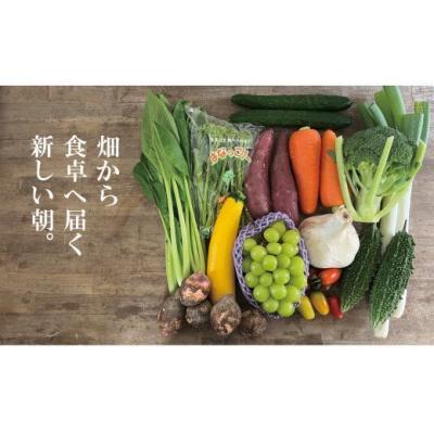ふるさと納税 山口市 山口の新鮮野菜と旬のフルーツ詰め合わせ D070