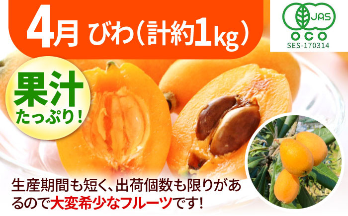 フルーツ定期便。びわ ぶどう シャインマスカット