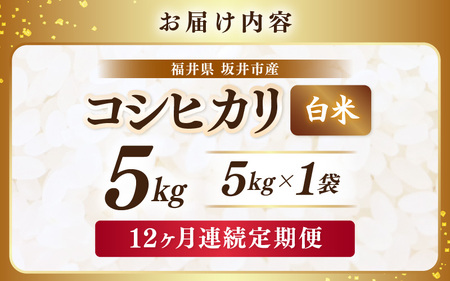 【先行予約】【令和8年産・新米】 定期便 ≪12ヶ月連続お届け≫ 坂井市産 コシヒカリ 白米 5kg×12回 計60kg (アグリ川崎) 【2026年10月以降順次発送予定】 【米 こめ お米 精米 