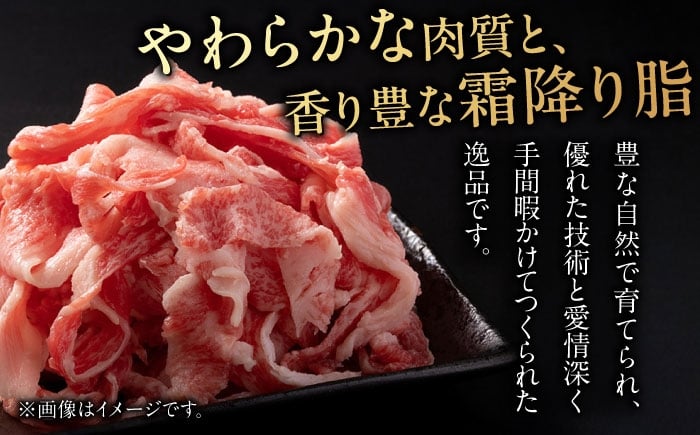飛騨牛 切り落とし 牛肉 飛騨牛 切り落とし きりおとし 切りおとし 肉 和牛