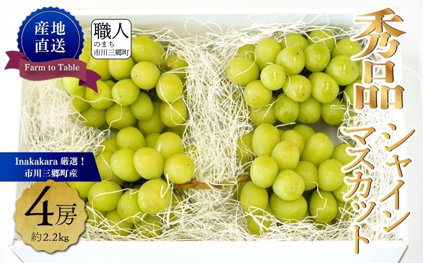 
                  ☆クール便発送☆  シャインマスカット 【2027年発送】秀品 山梨 4房 (約2.2kg) Inakakara厳選  ｜ 人気 新鮮 産地直送 果物 くだもの フルーツ 甘い 糖度 シャイン マスカット 葡萄 ブドウ ぶどう 贈答 ギフト おやつ トッピング 山梨 市川三郷町 市川三郷 [5839-1980]
                