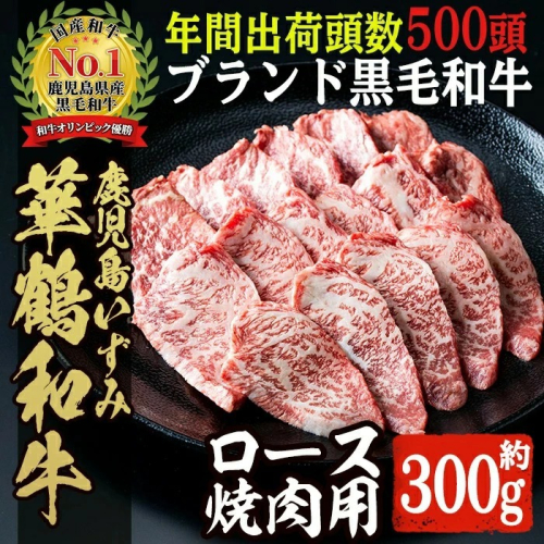 商標登録のブランド黒毛和牛肉！鹿児島いずみ華鶴和牛の焼き肉用ロース(約300g) 阿久根市 国産 九州産 鹿児島県産 特産品 肉 牛肉 焼肉 希少【鹿児島いずみ農業協同組合】a-20-1