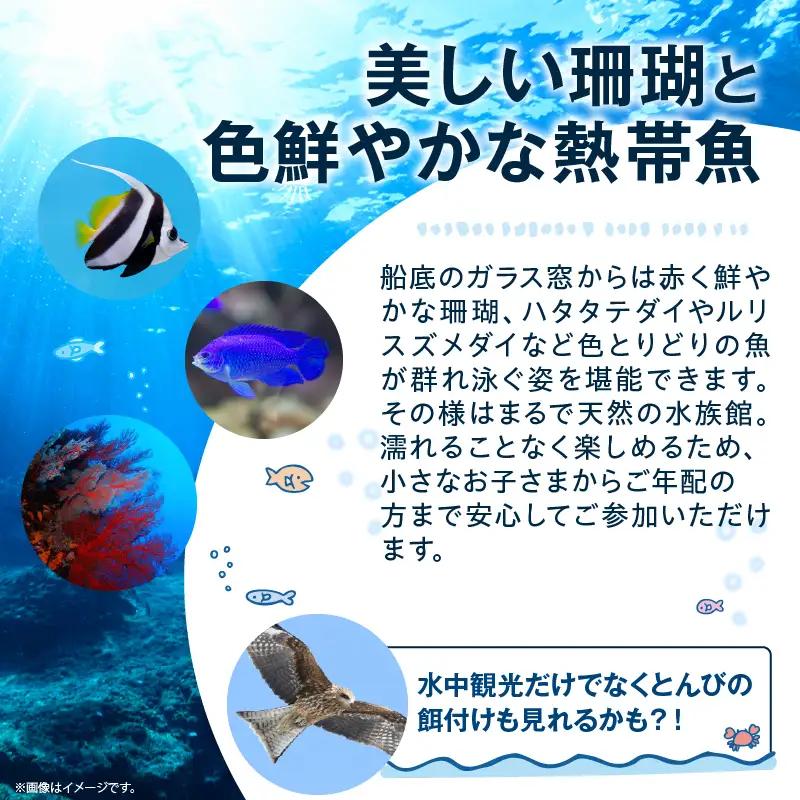 マリンビューワーにちなん 乗船券 (大人券) チケット_A101-25