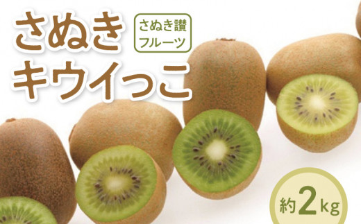 【さぬき讃フルーツ】さぬきキウイっこ 約2kg