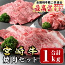 【ふるさと納税】宮崎牛焼肉セット(合計:1kg)モモ焼肉(400g)バラ焼肉(400g)宮崎県産和牛小間切れ(100g×2)牛肉 鍋 精肉 お肉 BBQ お取り寄せ すき焼き しゃぶしゃぶ 黒毛和牛 ブランド和牛 冷凍 国産【R-56】【ミヤチク】